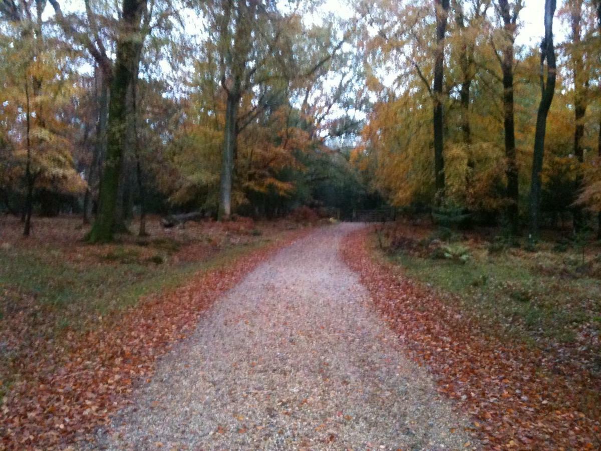 4 Lyndhurst Rd Brockenhurst Zewnętrze zdjęcie