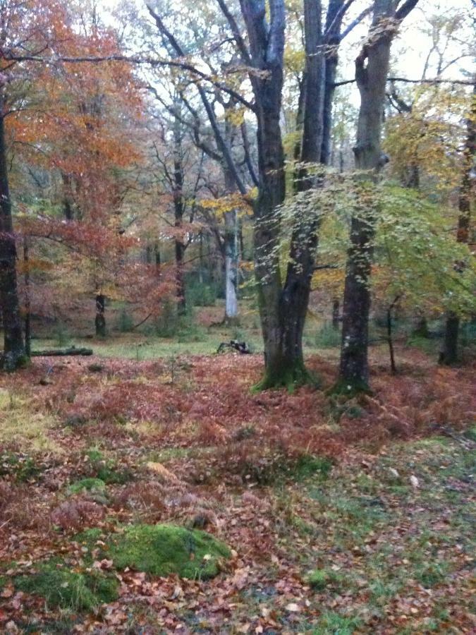 4 Lyndhurst Rd Brockenhurst Zewnętrze zdjęcie