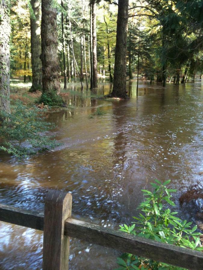 4 Lyndhurst Rd Brockenhurst Zewnętrze zdjęcie