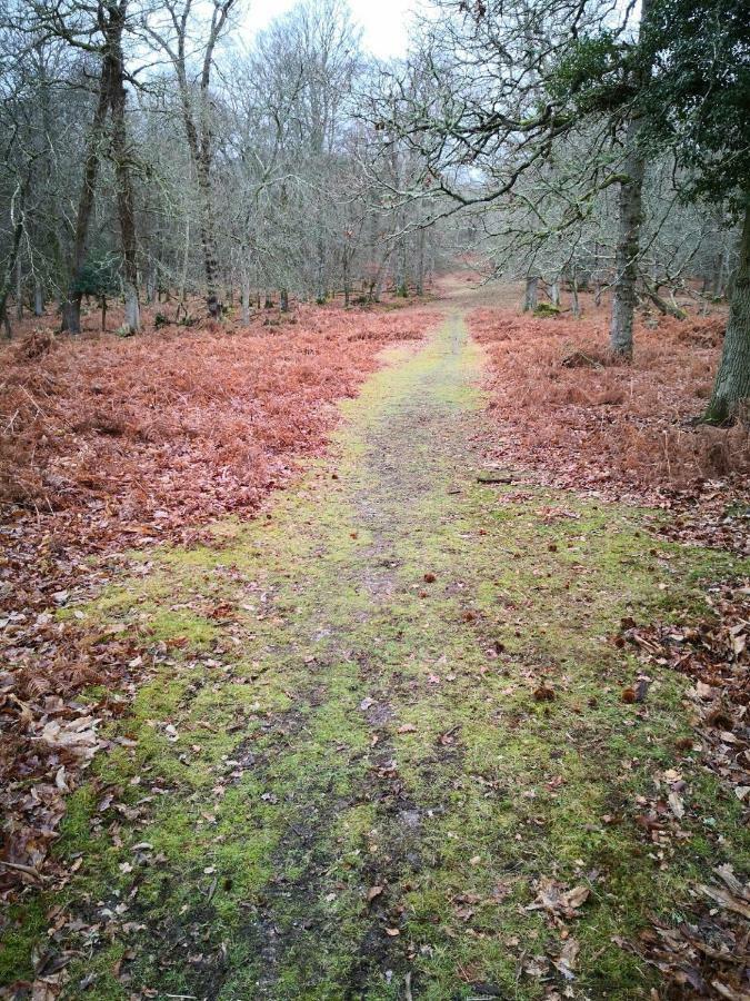 4 Lyndhurst Rd Brockenhurst Zewnętrze zdjęcie